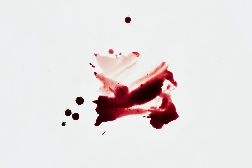 Blut kann in der Küche als Ei-Ersatz benutzt werden. (Fotos: Sylvan Müller)