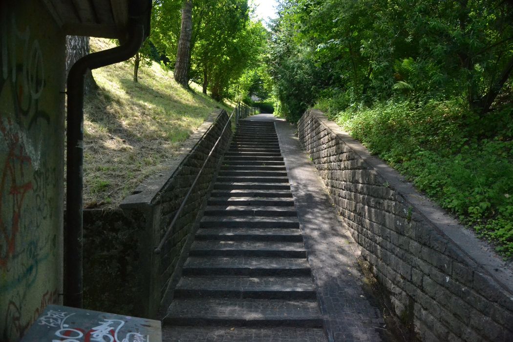 Stairway to Weinbergli. (Foto: Nikola Gvozdic)